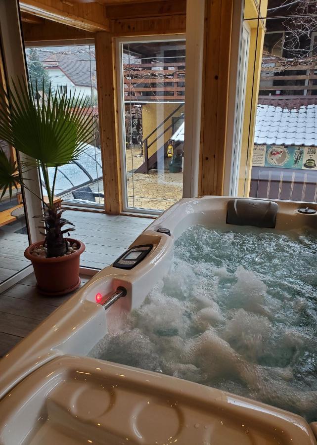 Thermae D'olimpia & - Adults Only 14 Băile Herculane