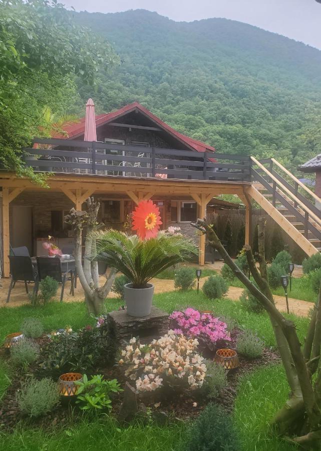 Thermae D'olimpia & - Adults Only 14 Gazde/Camere de închiriat *