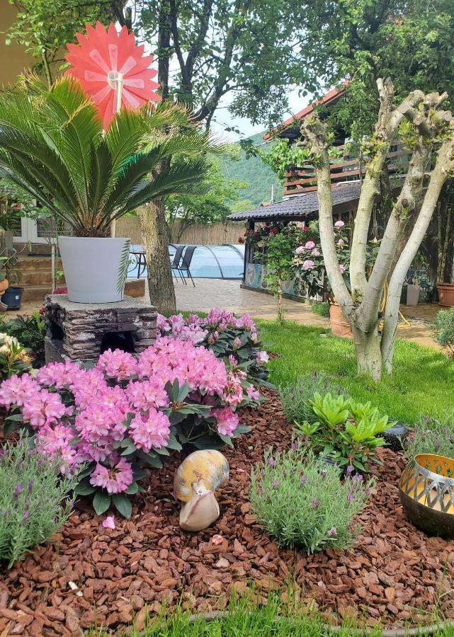 民宿 Thermae D'olimpia & - Adults Only 14 Băile Herculane