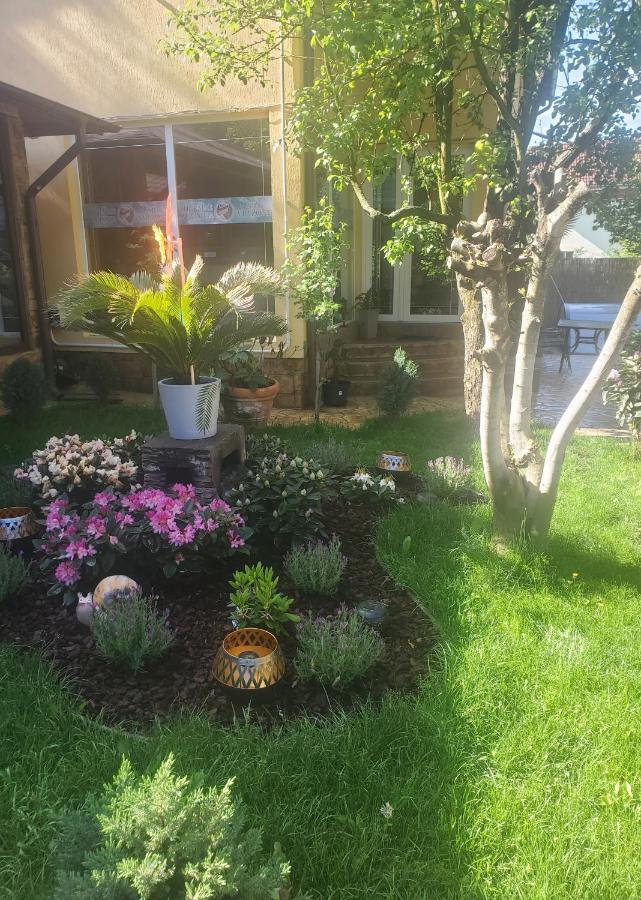 Thermae D'olimpia & - Adults Only 14 Gazde/Camere de închiriat Băile Herculane