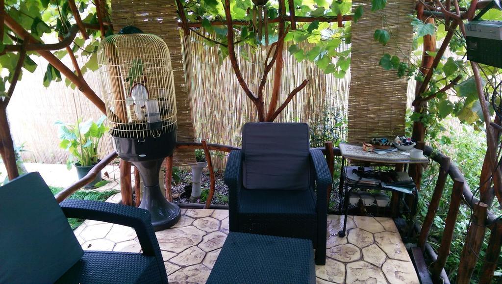 Gazde/Camere de închiriat Thermae D'olimpia & - Adults Only 14 Băile Herculane